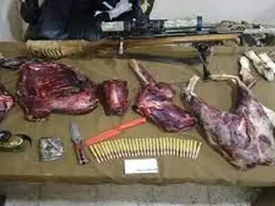 دستگیری سه شکارچی متخلف پرندگان در شادگان 