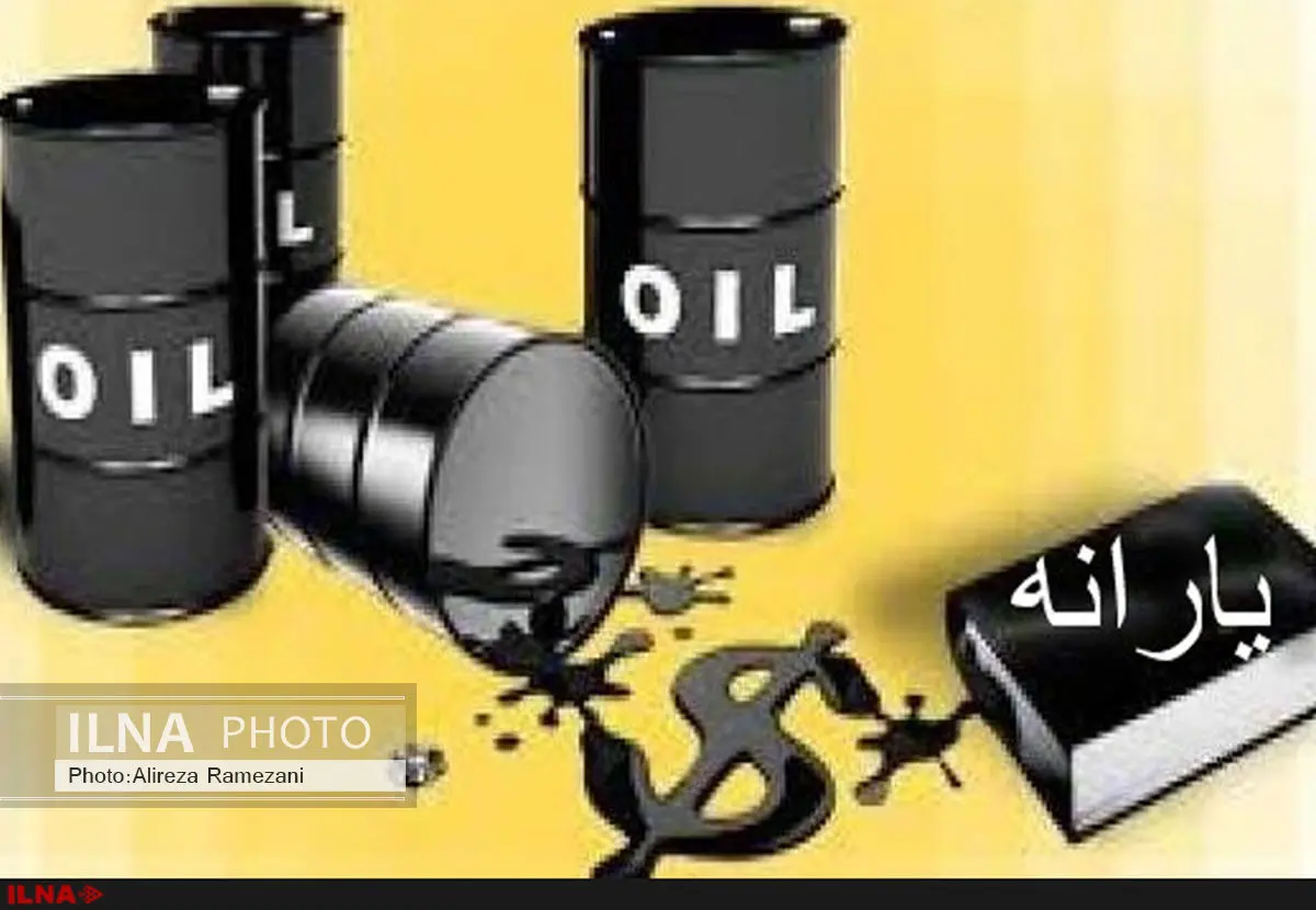 طرح یارانه 250 هزار تومانی سوء استفاده از مشکلات اقتصادی مردم است