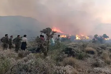 دستگیری عامل آتش‌سوزی جنگل‌های کمربندی شرقی ایلام
