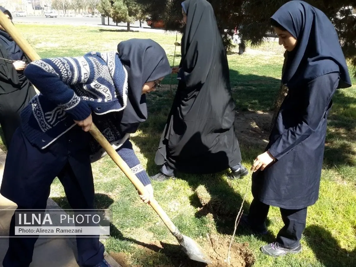 دانش‌آموزان کاشان به یاد 336 شهید فرهنگی و دانش‌آموز نهال کاری کردند