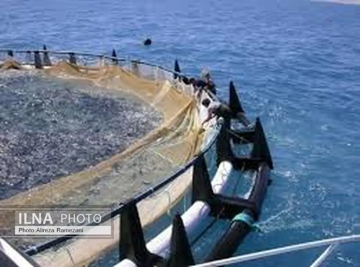 بازدید معاون اول رییس جمهور از مرکز پرورش ماهیان دریایی در قفس