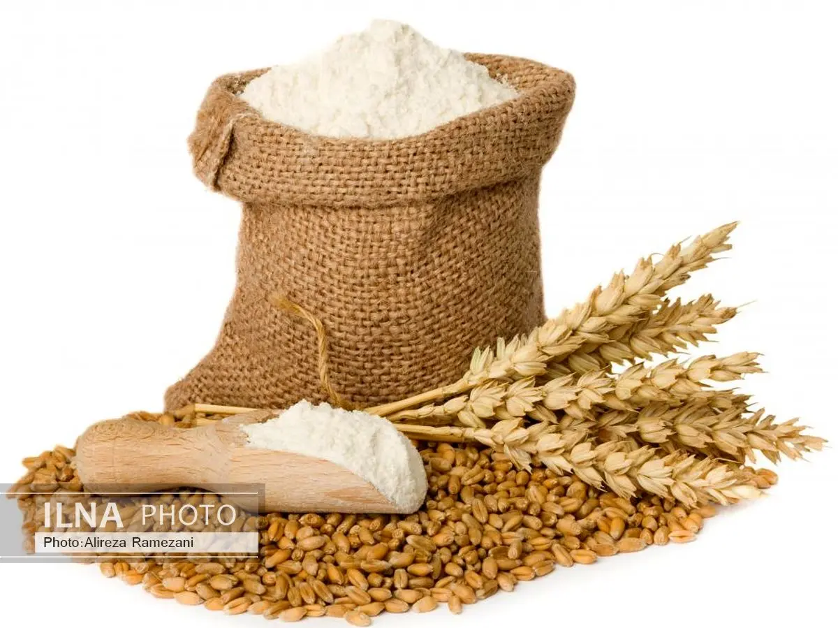 اعتبارات مورد نیاز خرید گندم با چالش بسیاری تامین شد