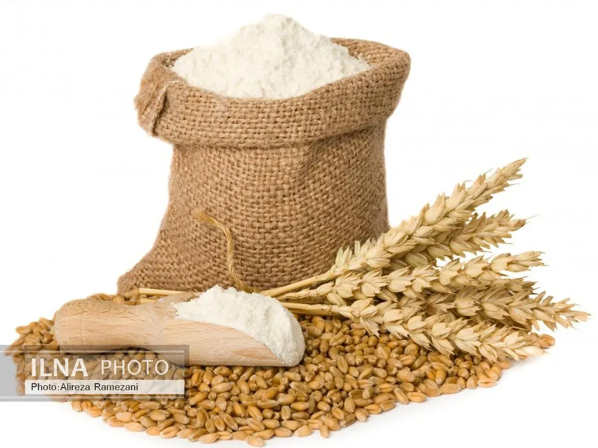 اعتبارات مورد نیاز خرید گندم با چالش بسیاری تامین شد