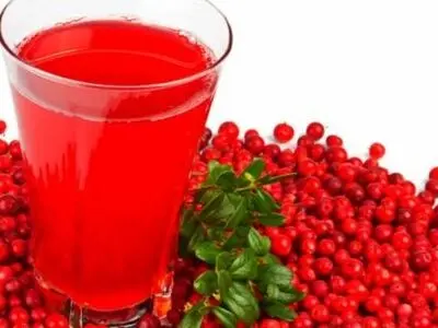 أبحاث ایرانیة لانتاج عقار ذکی لعلاج السرطان باستخدام البرباریس