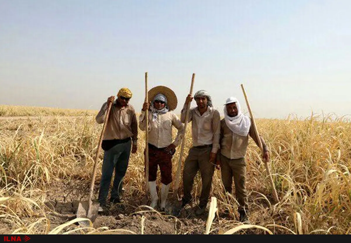 نامه بازنشستگان سال ۹۹ هفت تپه خطاب به مدیرعامل/ نحوه پرداخت سنوات مارا اصلاح کنید