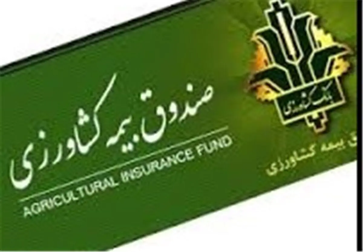 بهره مندی 33 هزار نفر از خدمات صندوق بیمه اجتماعی کشاورزان در استان