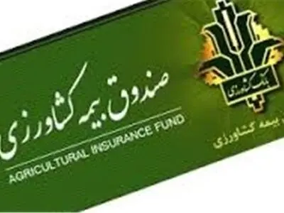 بهره مندی 33 هزار نفر از خدمات صندوق بیمه اجتماعی کشاورزان در استان