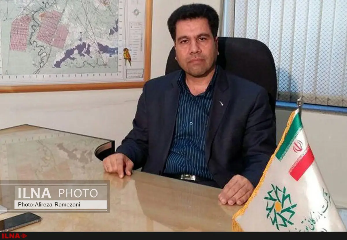 اعتماد به بورس کالا جواب داد/ شکر در سراشیبی قیمت