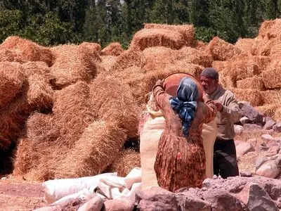 حرکت به سمت پوشش همگانی سلامت را تسریع کنید