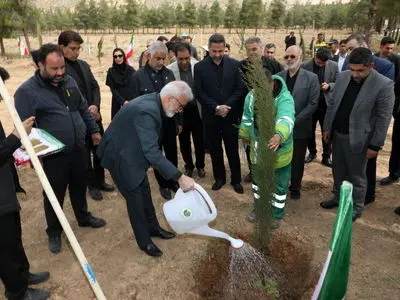 شیراز در مسیر تکمیل کمربند سبز با کاشت ۷۰۰ هزار نهال و ۷ میلیون بذر  