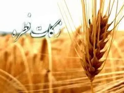 قوت غالب در فطریه به چه معناست؟