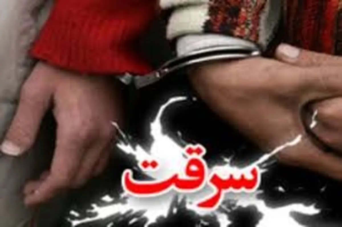 کشف ۱۹ فقره سرقت در شهرستان لردگان 