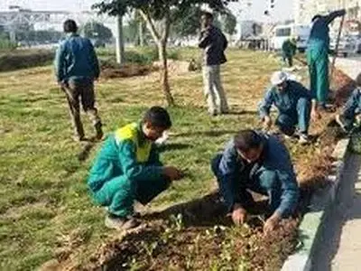 مدیرکل کار زنجان دائمی بودن کار کارگران فصلی‌ شهرداری زنجان را تایید کرد