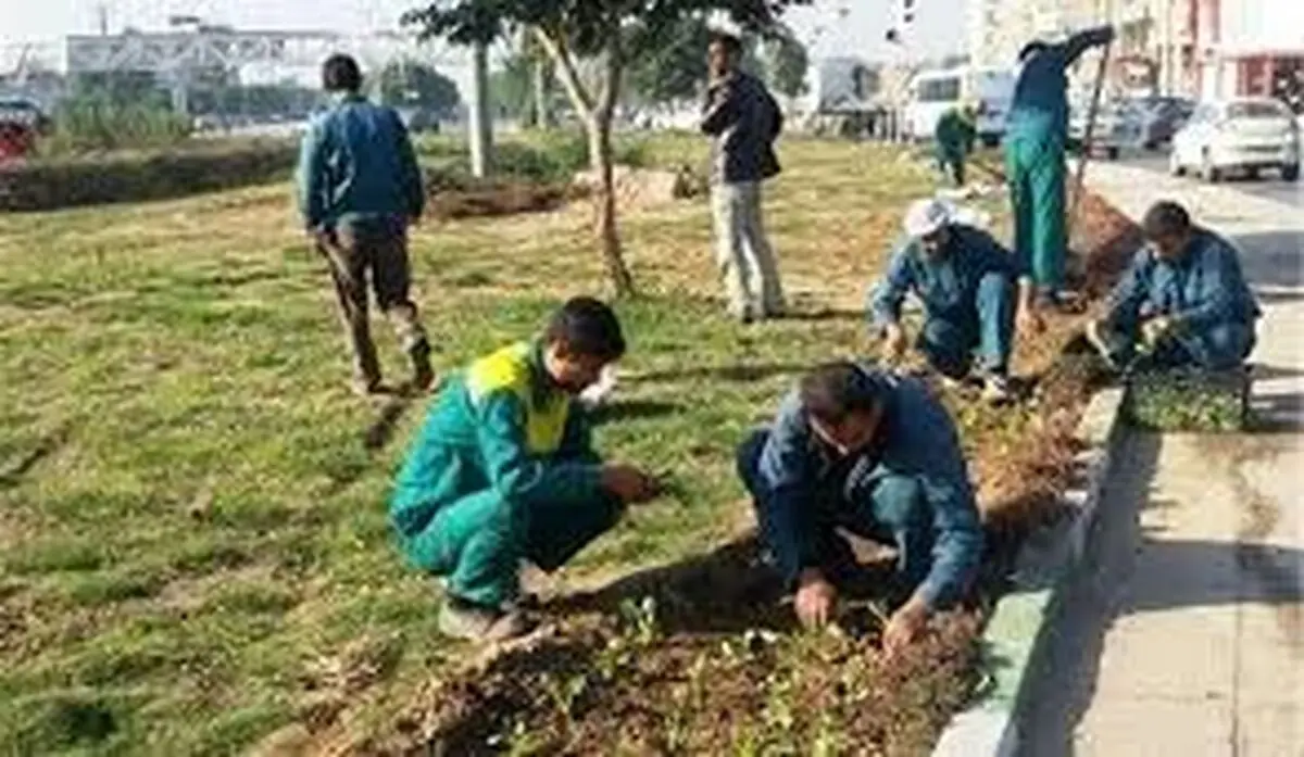 مدیرکل کار زنجان دائمی بودن کار کارگران فصلی‌ شهرداری زنجان را تایید کرد