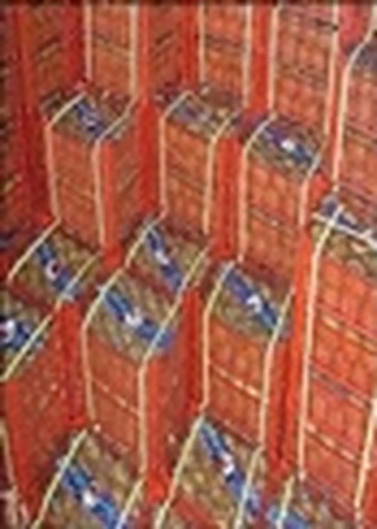 آغاز صادرات کیوی از گمرک آستارا
