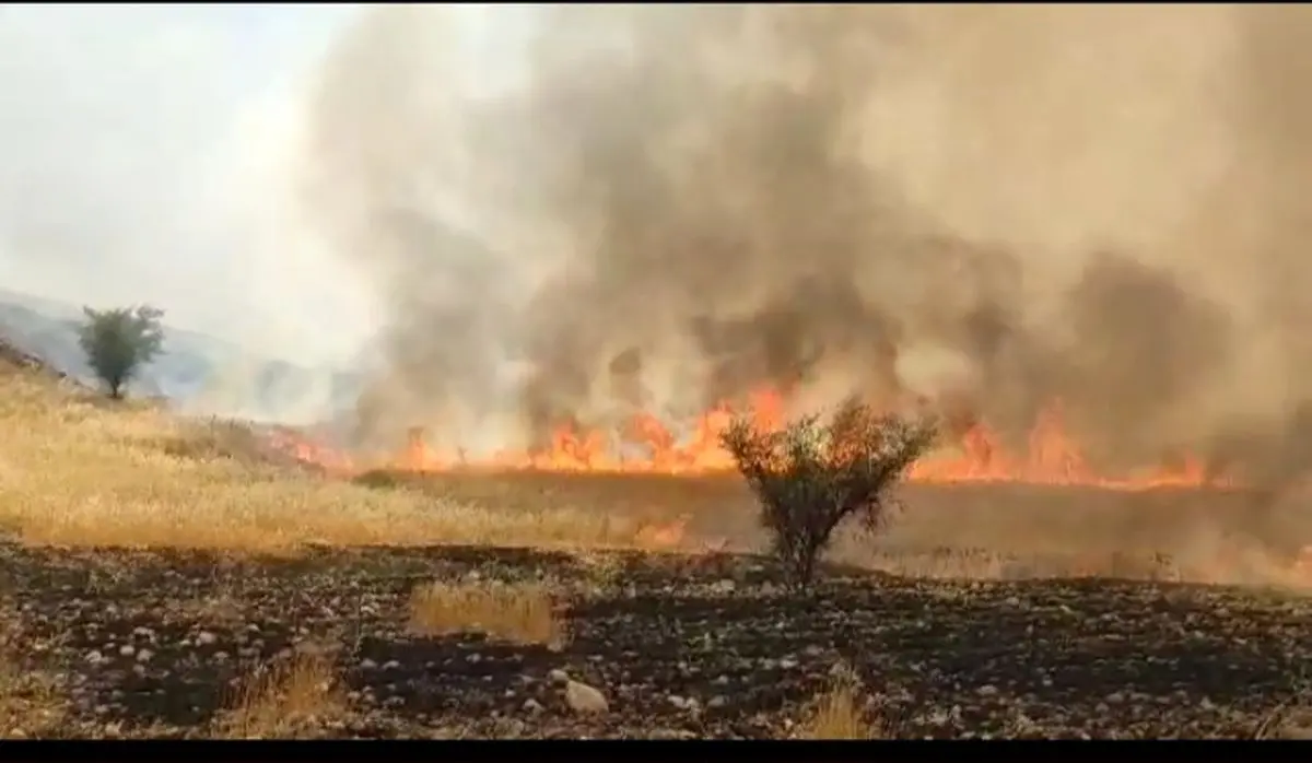 ۵۰ هکتار از اراضی کشاورزی روستای دَمدره چُرام در آتش سوخت