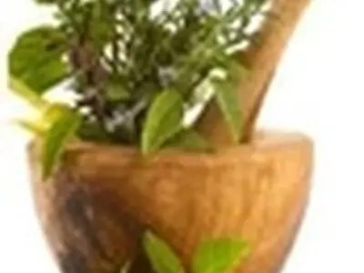 افتتاح کارخانه ساخت داروهای گیاهی در نظرآباد