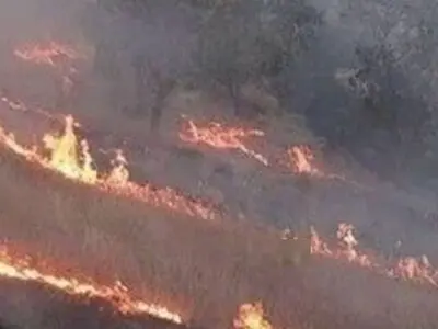  آتش‌سوزی گسترده در جنگل‌های پلدختر/ درخواست اعزام ۲ بالگرد