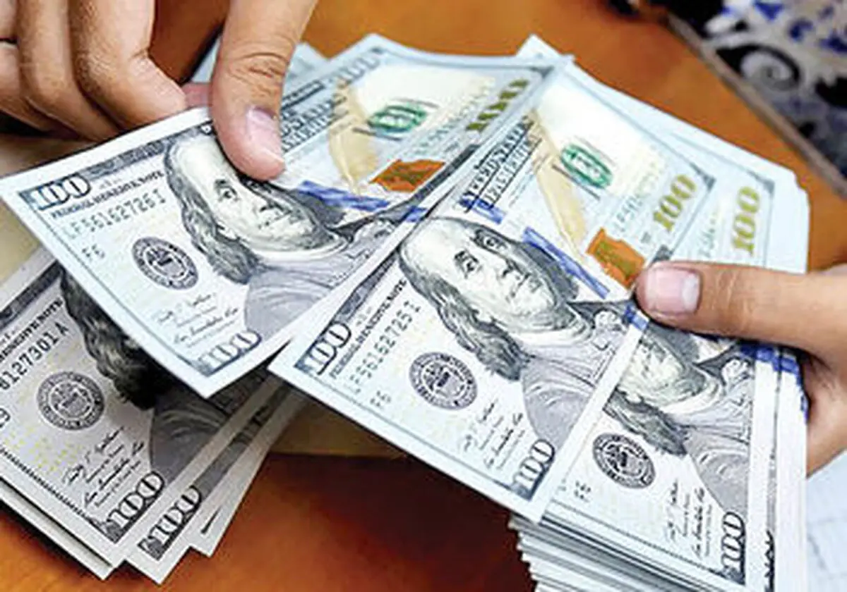 پتروشیمی‌ها در تلاطمات ارزی بی‌تقصیرند / عرضه طبق دستورالعمل بانک مرکزی انجام می‌شود