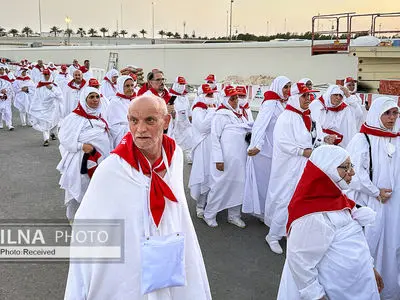 بازدید نماینده ولی فقیه در امور حج و زیارت از مسجد شجره