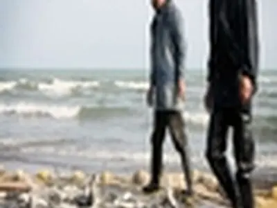 از ابتدای فصل صید۴۳۶ هزار کیلوگرم انواع ماهیان استخوانی صید شده است
