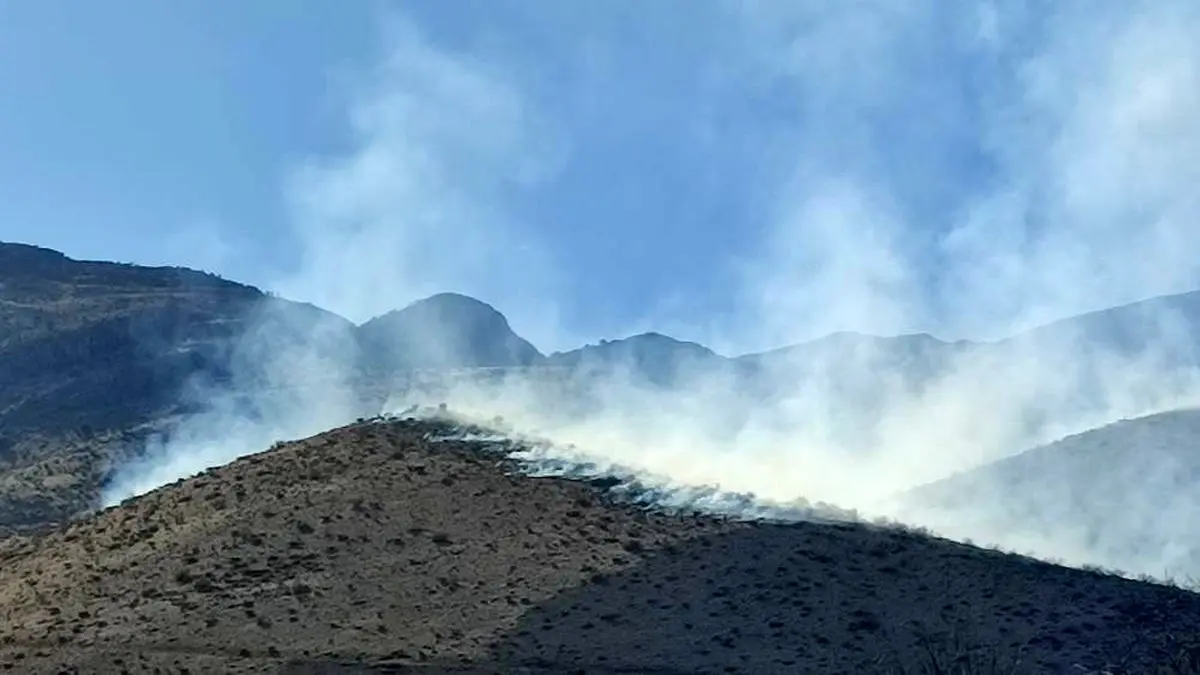 ارتفاعات سپیدار بویراحمد طعمه حریق شد