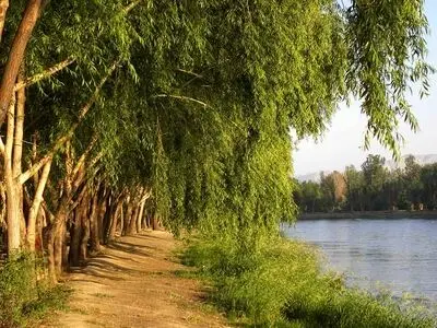 بسته شدن راه های اصلی ناژوان در روزهای سه شنبه و چهارشنبه/ پیشگیری از بروز آتش سوزی یا حوادث ناشی از چهارشنبه سوری/فقط 30 درصد ناژوان در اختیار شهرداری است