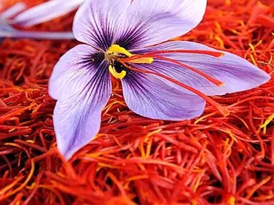 9 مورد از معروف ترین سوغات مشهد