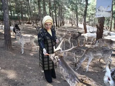 ضرورت فرهنگسازی حمایت از حقوق حیوانات در جامعه