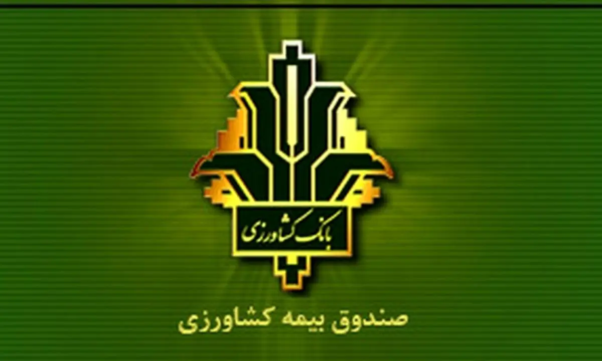 افزایش 140 درصدی غرامت پرداختی به کشاورزان خسارت دیده / جهش ۱۵۰ درصدی تعهدات بیمه گندم/ پوشش 100 درصدی 6.5 میلیون هکتار گندمزار