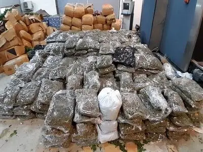 کشف 539 کیلوگرم موادمخدر توسط مرزداران سیستان و بلوچستان 