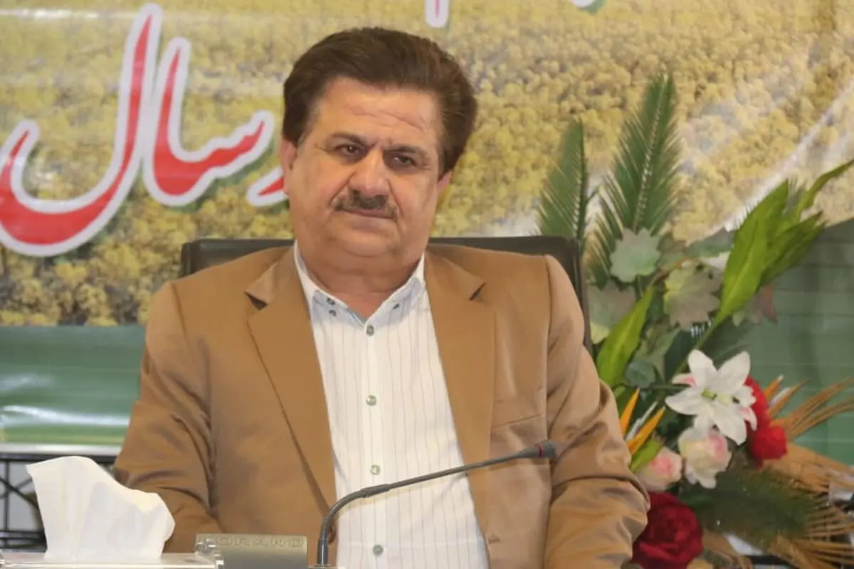 پیش بینی افزایش ۸۰ درصدی برداشت کلزا در خوزستان/ همه امکانات لازم برای یک برداشت خوب مهیا است