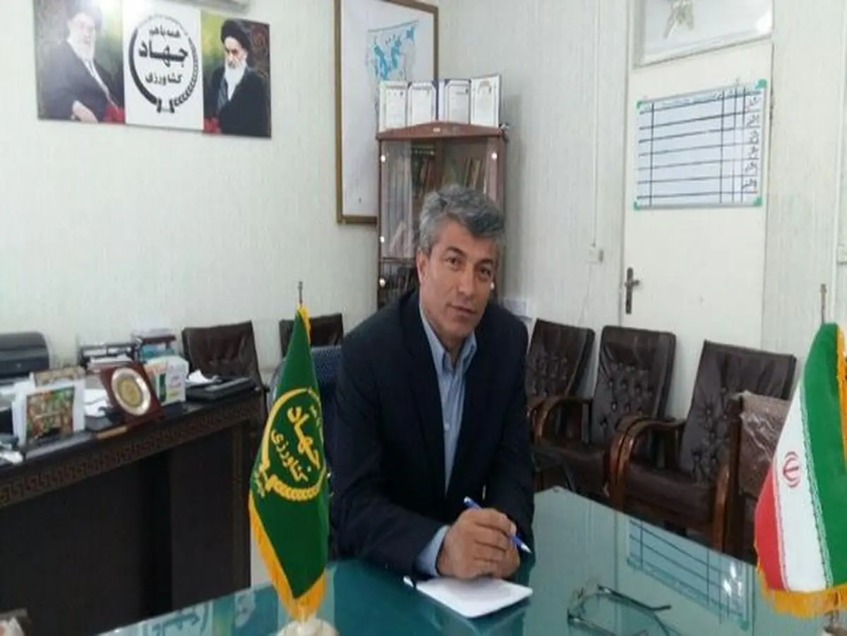 پرداخت بیش از  50 درصد مطالبات گندمکاران شهرستان جویبار 