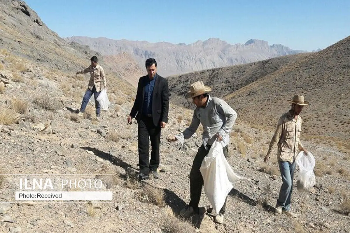 بذر پاشی 200 هکتار از اراضی شهرستان بوئین زهرا به روش سنتی 