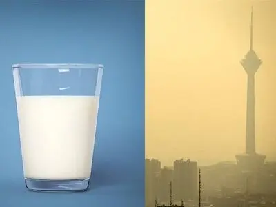 یک باور اشتباه درباره مصرف شیر در روزهای آلودگی هوا