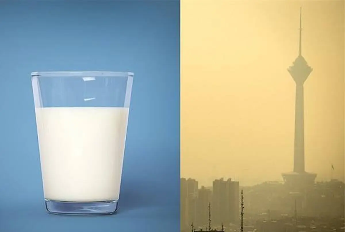 یک باور اشتباه درباره مصرف شیر در روزهای آلودگی هوا