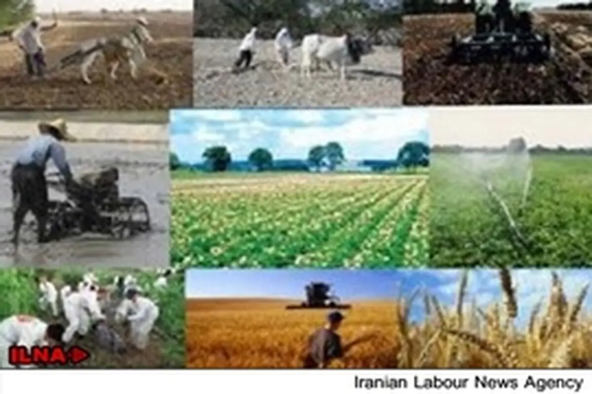 برگزاری نشست خبری یا گفت و شنود یکطرفه