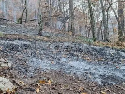 مهار حداکثری آتش‌سوزی در جنگل‌های گونیلی شهرستان کلاله 