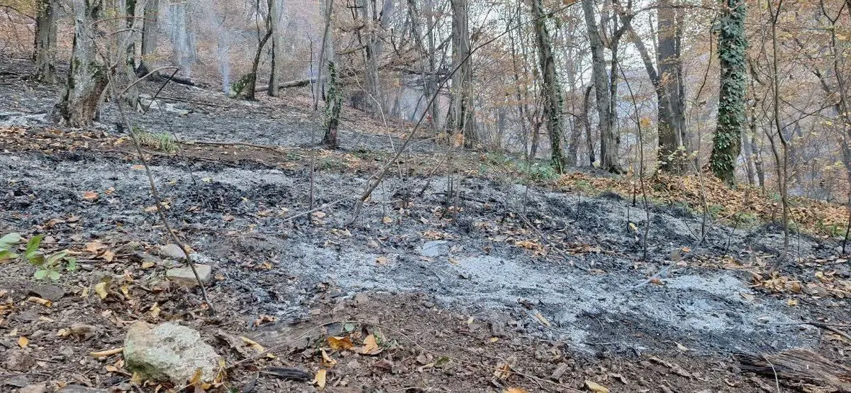 مهار حداکثری آتش‌سوزی در جنگل‌های گونیلی شهرستان کلاله 