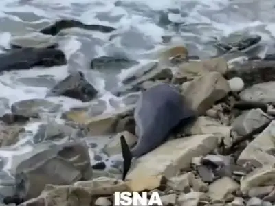 asdasd