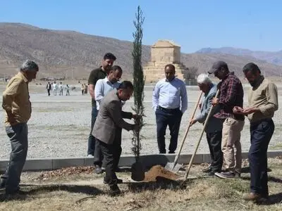 کاشت 60 نهال سرو در محوطه پاسارگاد 