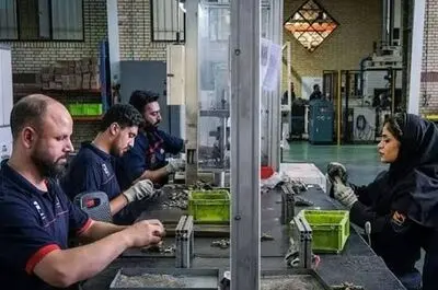 چرا گره‌کور تبدیل وضعیت نیروهای شرکتی باز نمی‌شود؟/ خطر بازتولید «ژن خوب»!