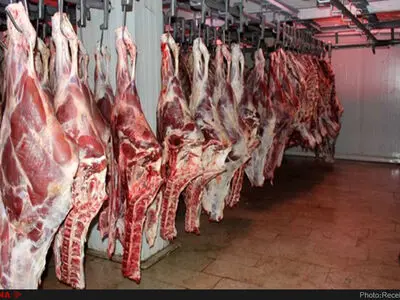 تولید بیش از ۲۸ هزار تن گوشت قرمز در لرستان 