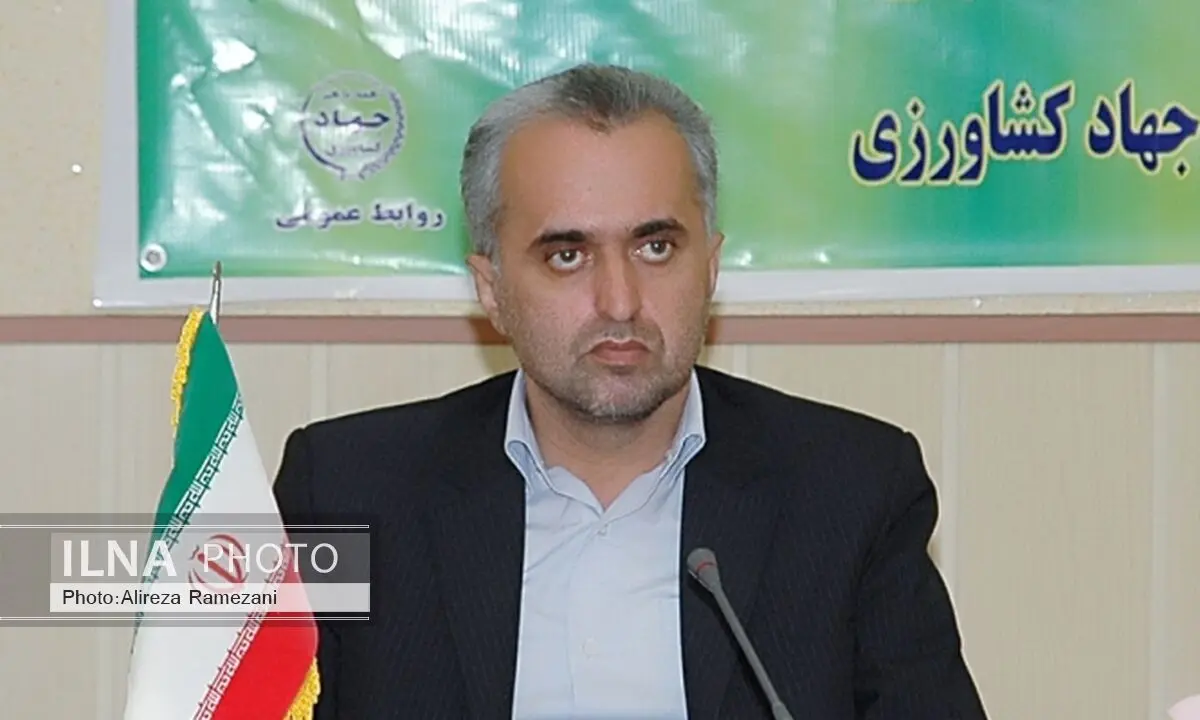 برنج گیلان سالم‌ترین برنج ایران است/تولید برنج به گیلان و مازندران محدود می‌شود