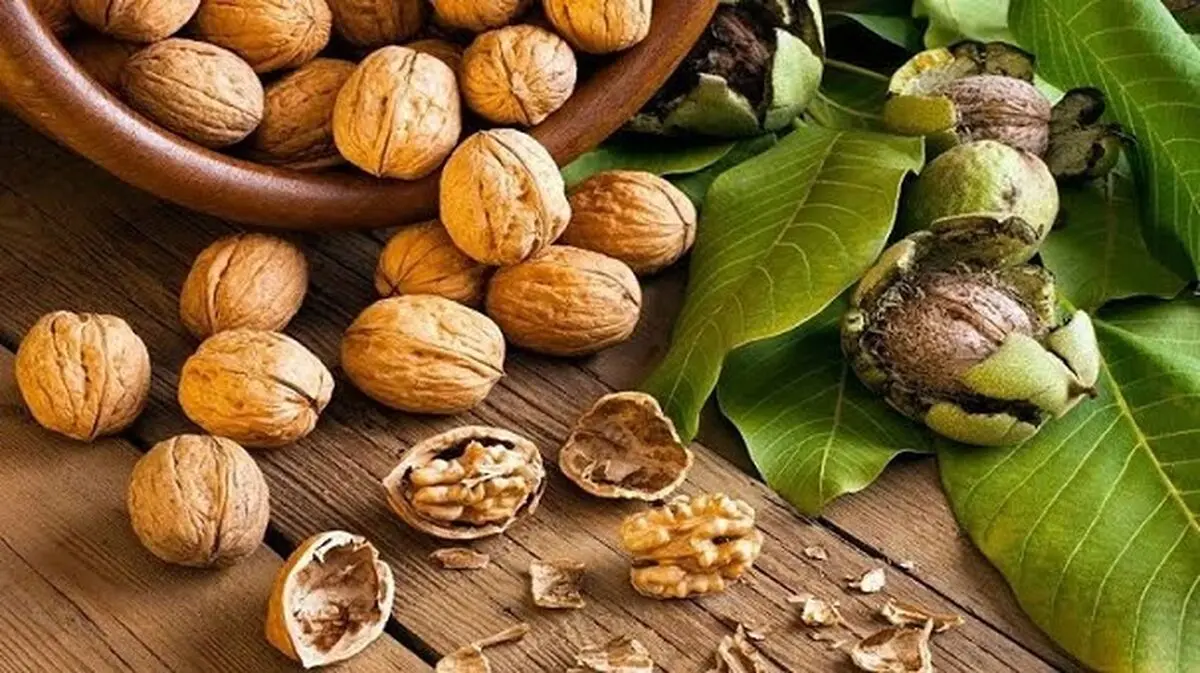 پیش‌بینی تولید ۱۴۰۰ تن گردو در گلستان