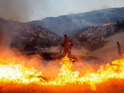 مهار آتش‌سوزی در ارتفاعات شهرستان دشتی استان بوشهر