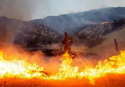 مهار آتش‌سوزی در ارتفاعات شهرستان دشتی استان بوشهر