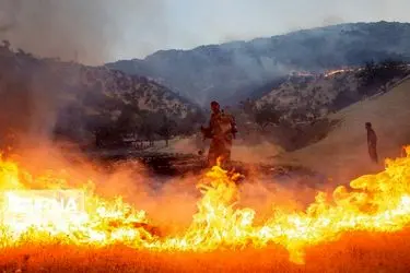 مهار آتش‌سوزی در ارتفاعات شهرستان دشتی استان بوشهر