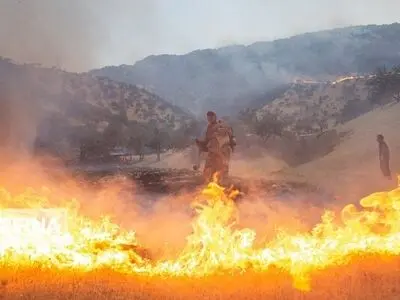 مهار آتش‌سوزی در ارتفاعات شهرستان دشتی استان بوشهر