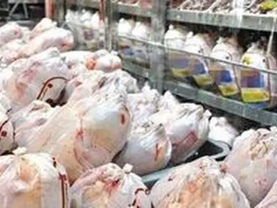 کاهش ۳۰ درصدی خرید مرغ از زمان اصلاح قیمت‌ها